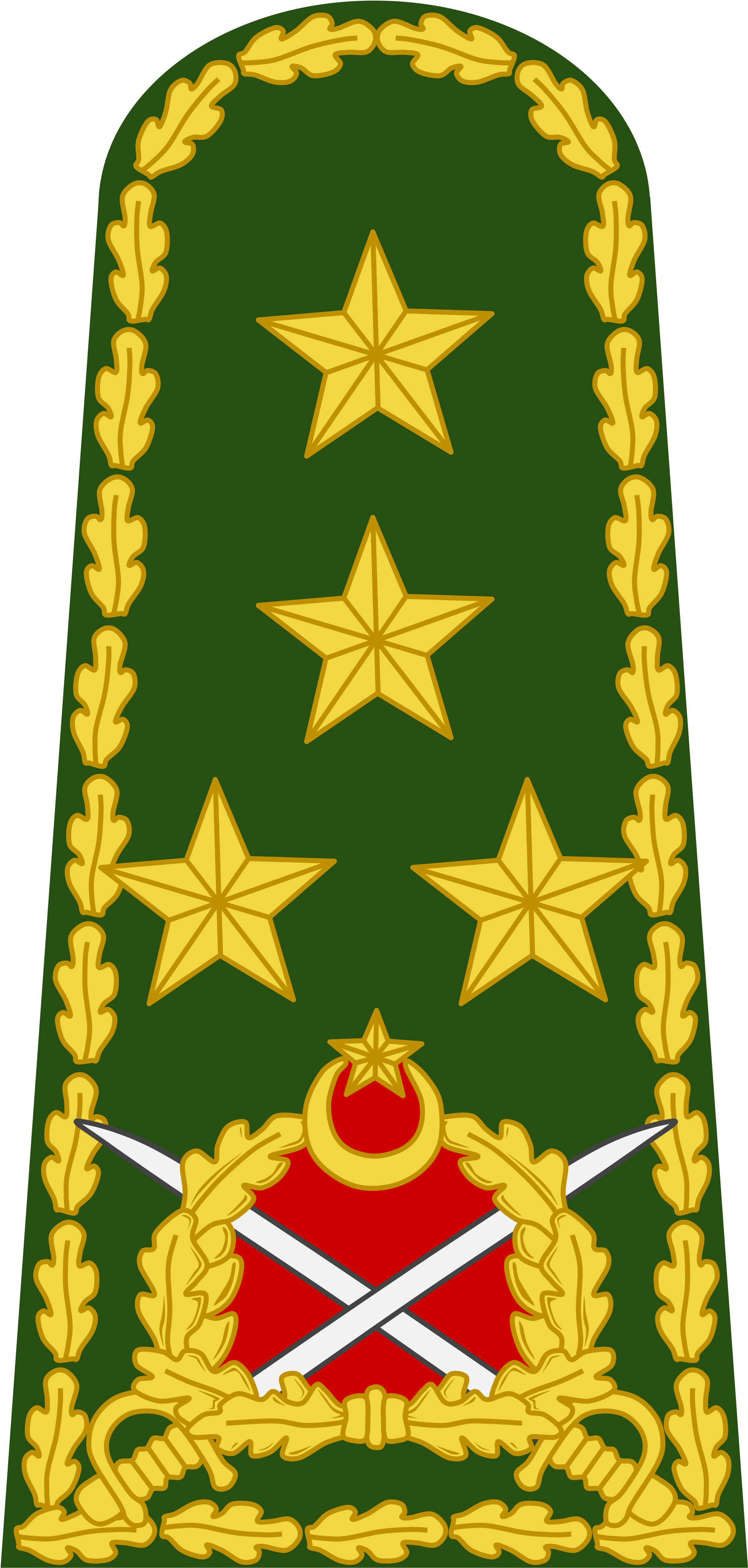 Turkish Army Ranks (2000x4020)