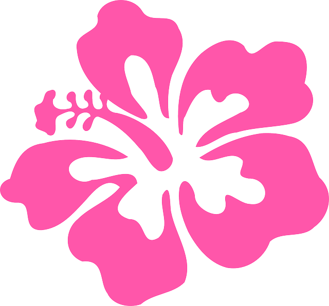 Hibiscus Clip Art (640x596)