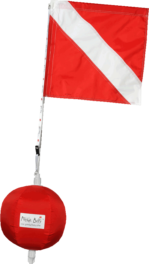 The Diving - Flag (547x893)
