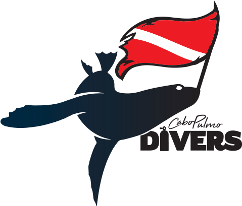 Go Dive - Illustration (512x430)