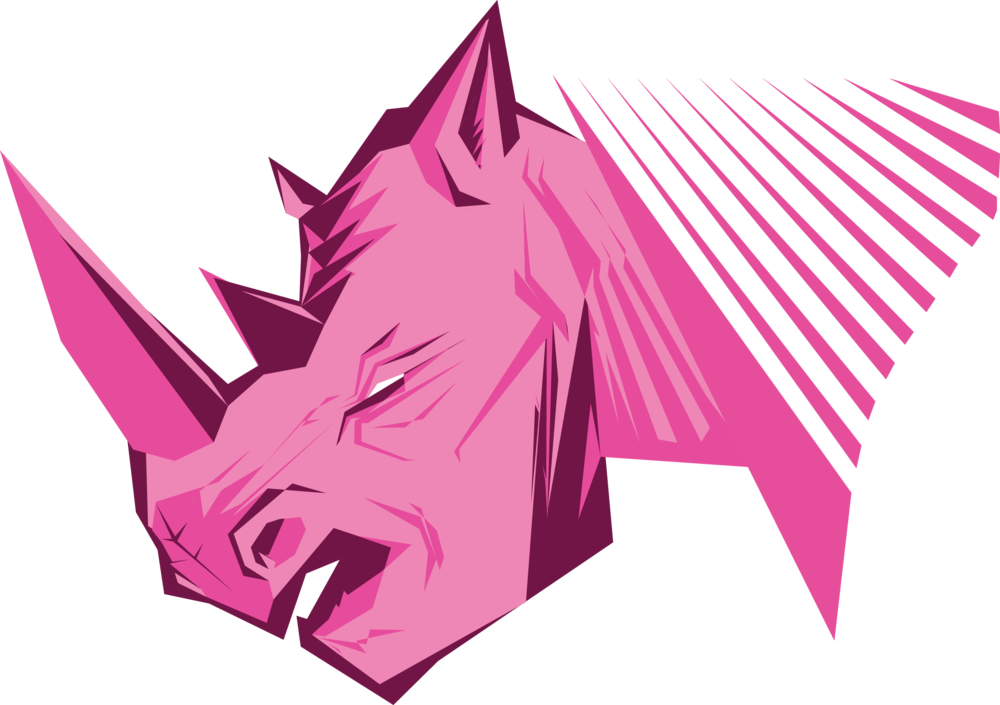 Pink Rhino (1000x705)