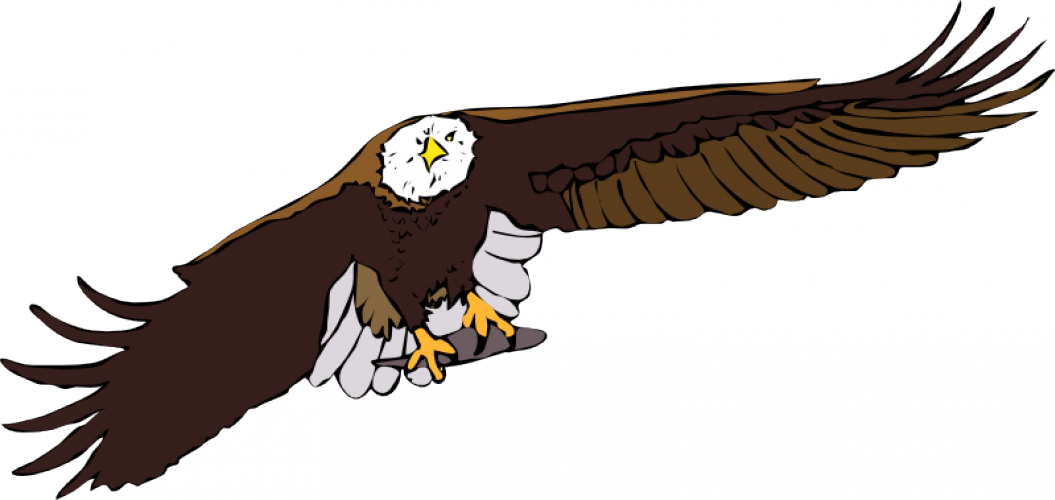 Bald Eagle Vector Graphics - Free Flying Eagle Clipart (1055x500)