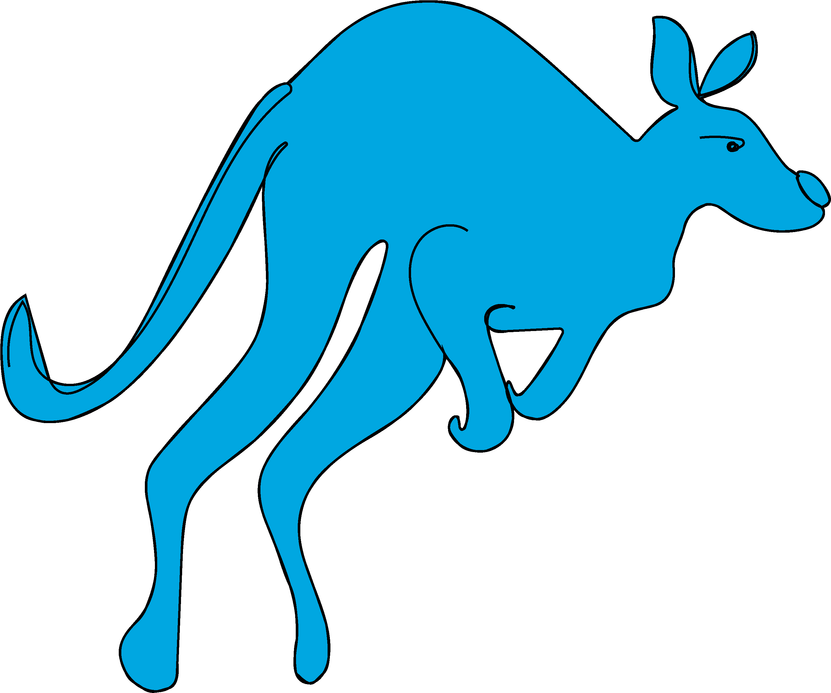 Our Proprietary Computer Vision Technology Empowered - Kangaroo (3384x3175)