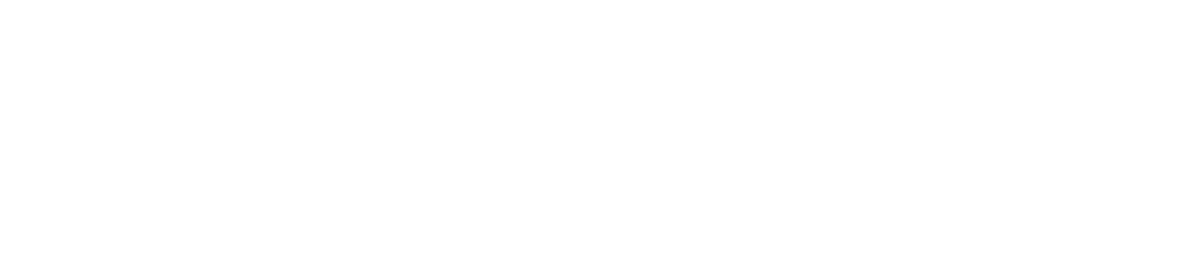 Zoom Video Communications (1100x250)