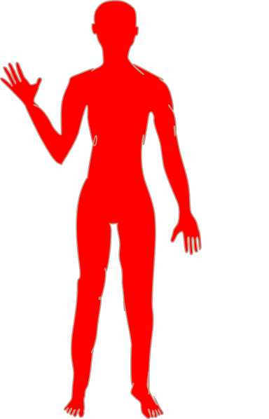 Female Body Shape (384x598)