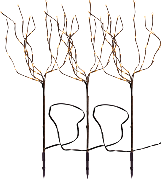 Decorative Tree Tobby Tree - Sketch (600x600)