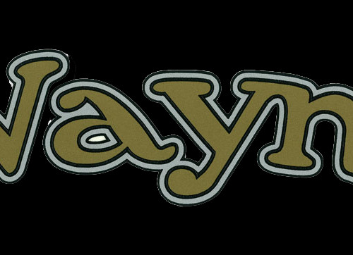 Wayne Decal With Clear Background - Illustration (500x362)