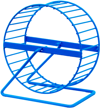 Transparent Hamster Wheel (425x425)