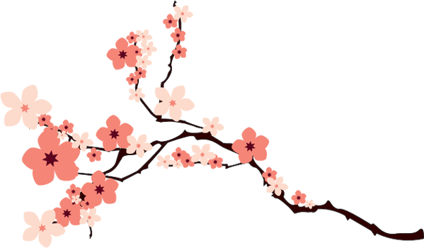 Cherry Blossom Vector Png (599x350)
