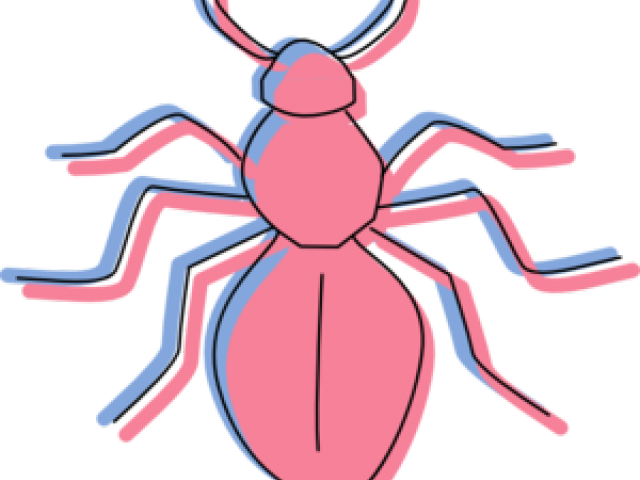 Ant Clipart Pink - Ant (640x480)