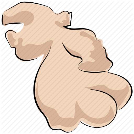 Ginger Vector Spice - Ginger Root Cartoon Png (512x512)