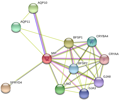 Circle (975x442)