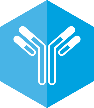 Antibody Development Image - Ironhack Logo (326x376)