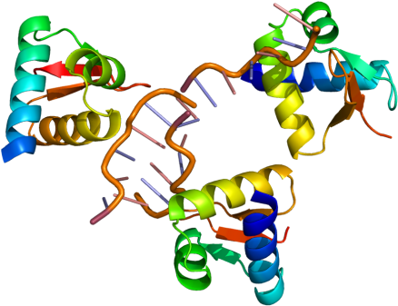 Gene Splicing - Adar Protein (460x360)