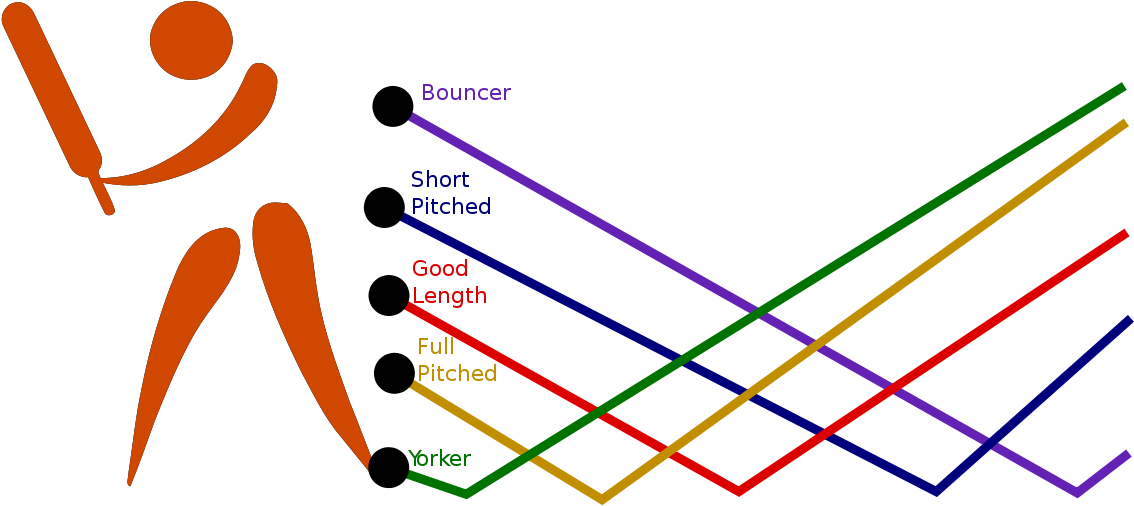 Good Length Ball - Cricket Ball Lengths (1200x546)
