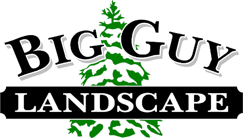 Image Result For Landscaping Clip Art - Tree (477x275)