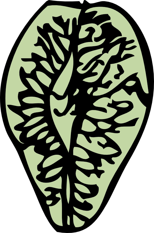 Elm (512x771)