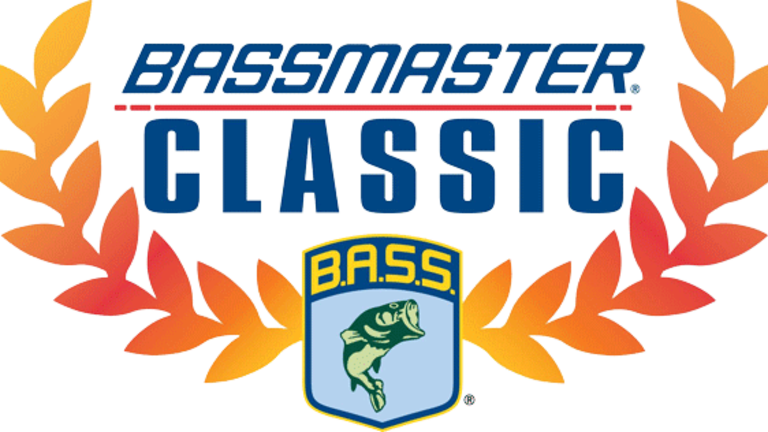 Bass (768x432)
