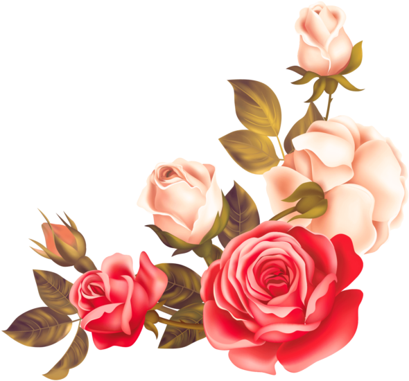 Flower Border Hd Png (715x715)