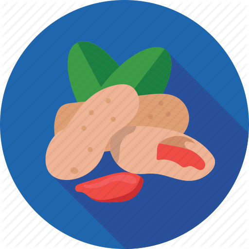 Peanut Clipart Dry Fruit - Illustration (512x512)