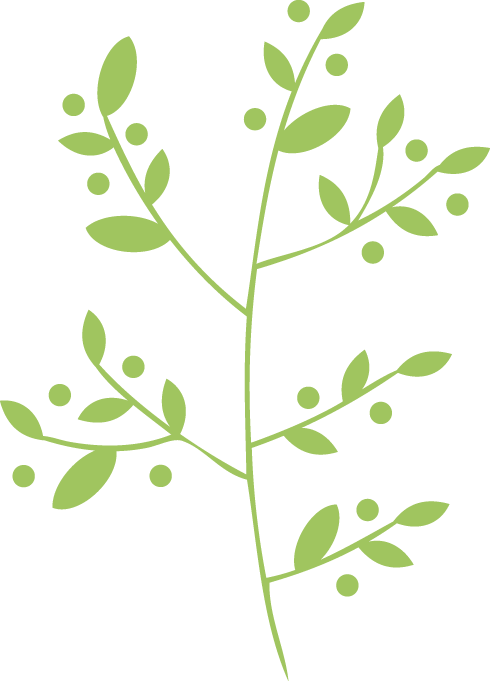 Vector-bottom - Herbs Vector Clipart Png (490x681)