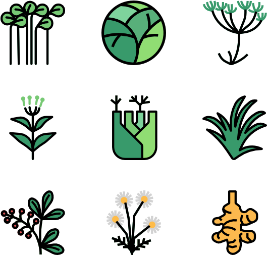 Herb - Herb (600x564)