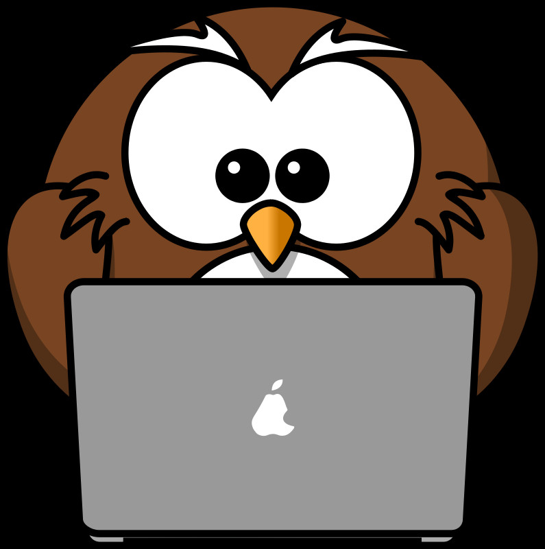 6 - Cartoon Owl (795x800)