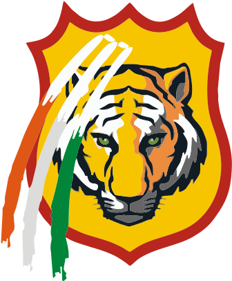 Tiger Face Easy Drawing (405x405)
