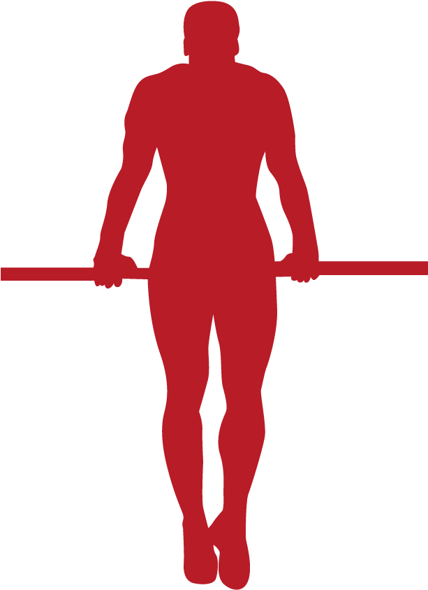 Dragon Athletic - Silhouette (612x867)