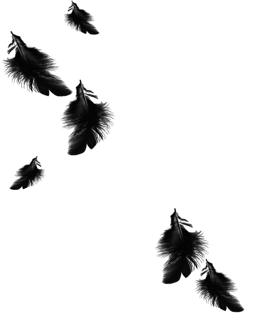 1024 X 1024 4 - Falling Black Feather Transparent (1024x1024)