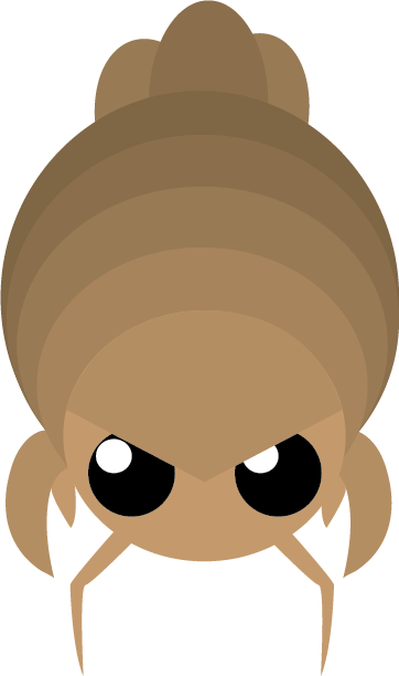 Giant Isopod - Cartoon (362x612)