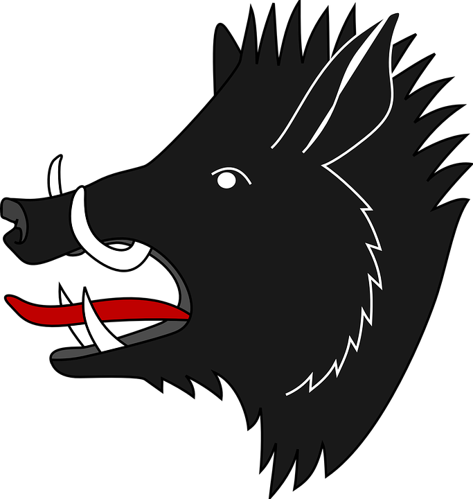 Boar Png - Wild Boar (683x720)