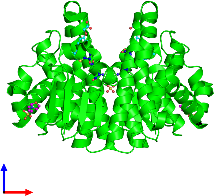 <div Class='caption-body'><ul Class ='image Legend - Protein Data Bank (800x800)