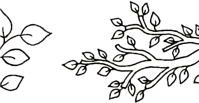 Drawn Branch Leaf Branch - Drawn Branch Leaf Branch (640x480)