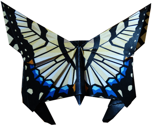 Swallowtail Butterfly - Papilio Machaon (500x415)
