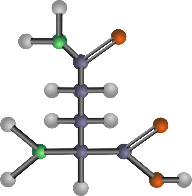 Amino Acids Clipart (782x800)