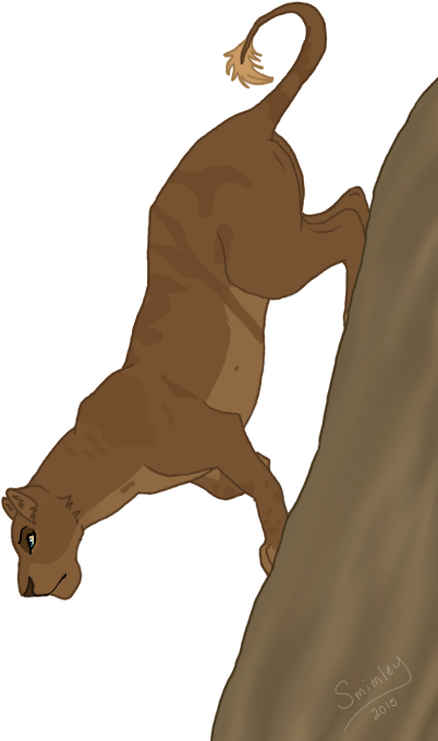 Exploring - Illustration (449x693)