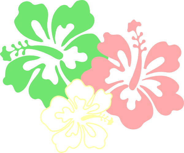 Hibiscus (600x498)