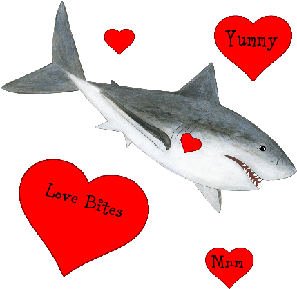 Great White Shark (460x460)