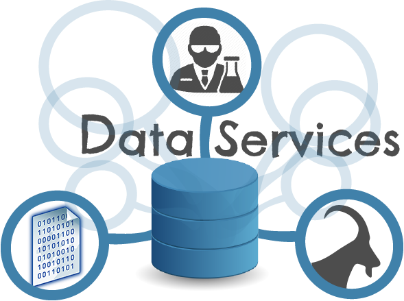 Data Services Provide The Users With Tools In Order - Data Services Provide The Users With Tools In Order (589x439)