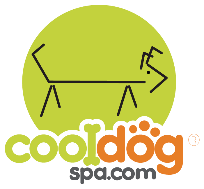 About Us Cool Dog Spa - Circle (700x700)