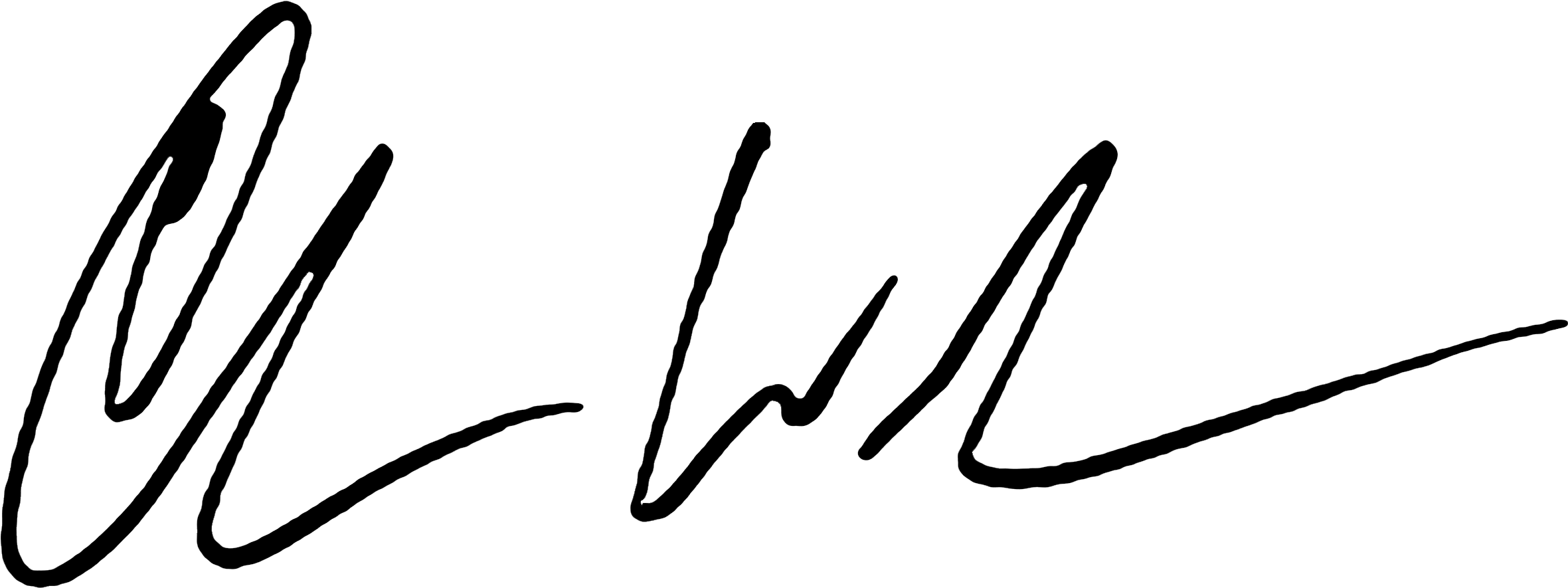Chris Weidman - Calligraphy (2482x1280)