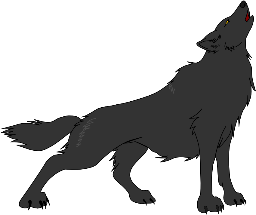 1024 X 731 17 - Wolf Design Transparent (1024x731)