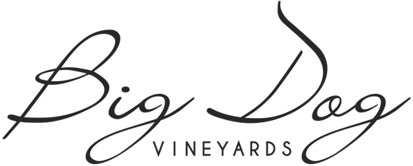 Location - Calligraphy (600x242)