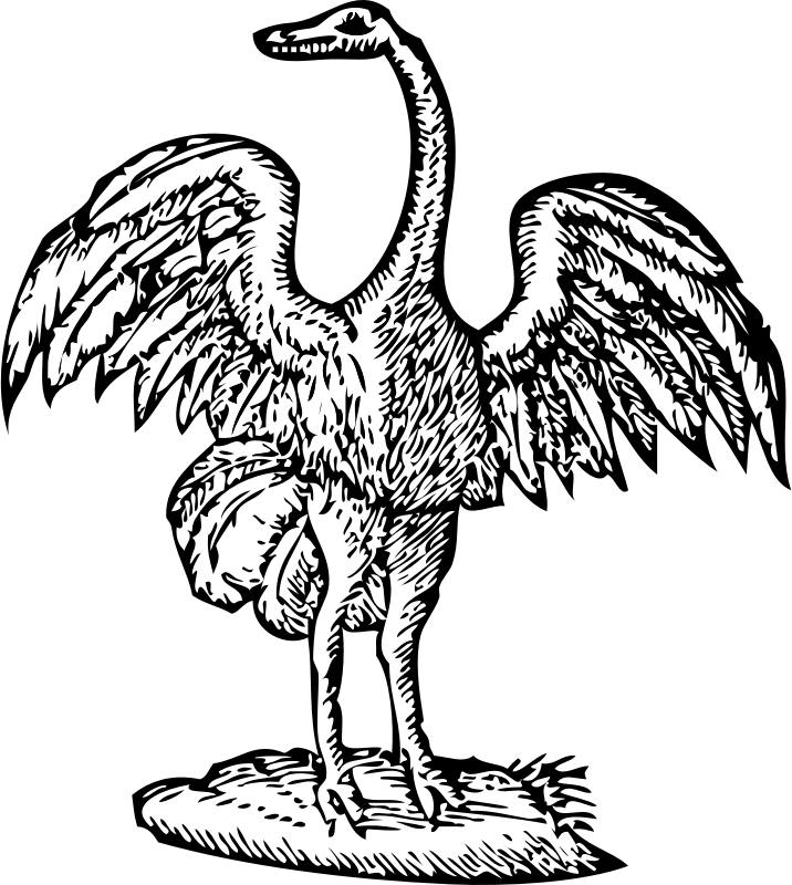 Medium Image - Bird Engraving (716x800)