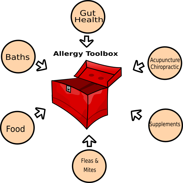 Tool Box (600x600)