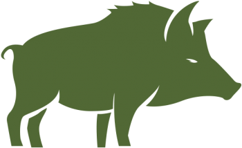 Boss Hog - Warthog (510x382)