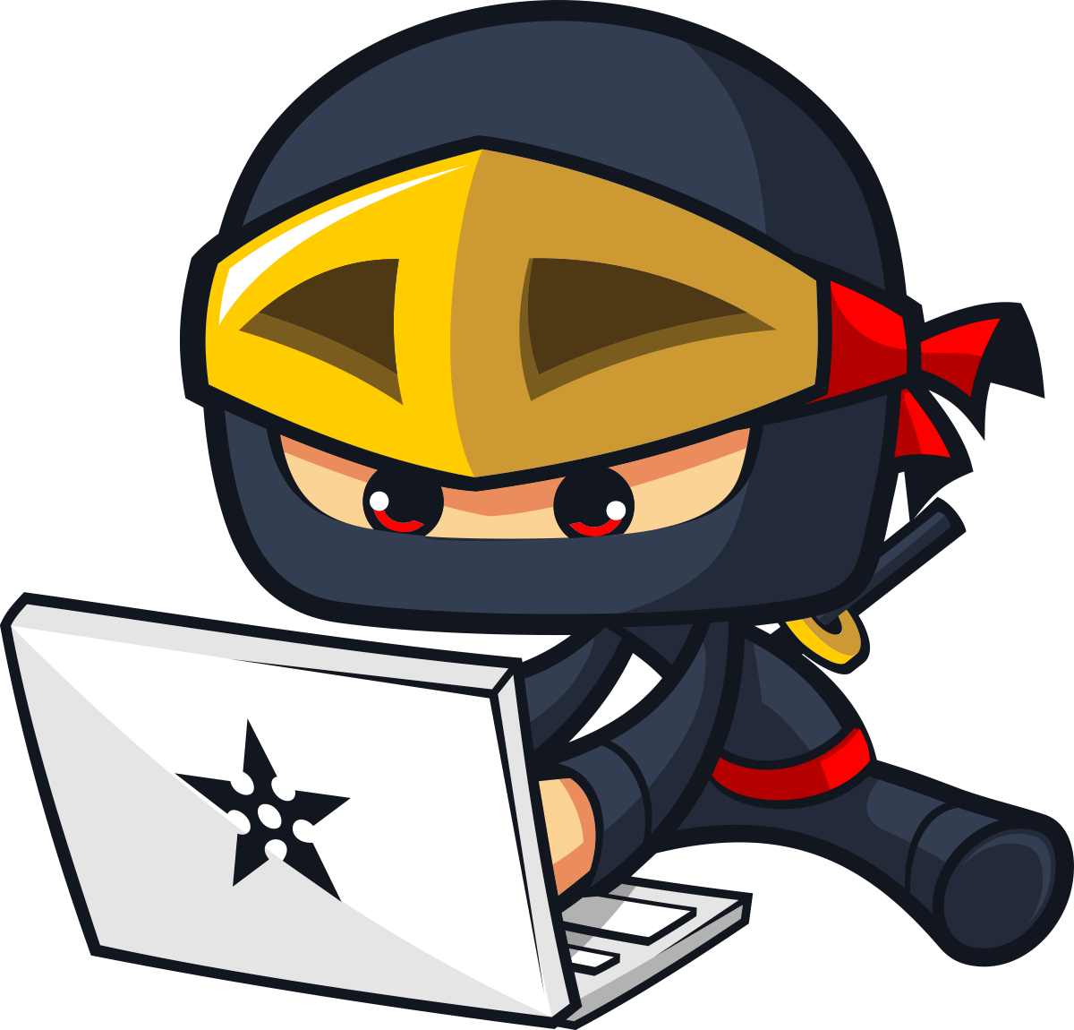 Hobo Dojo - Internet Ninja (1200x1150)