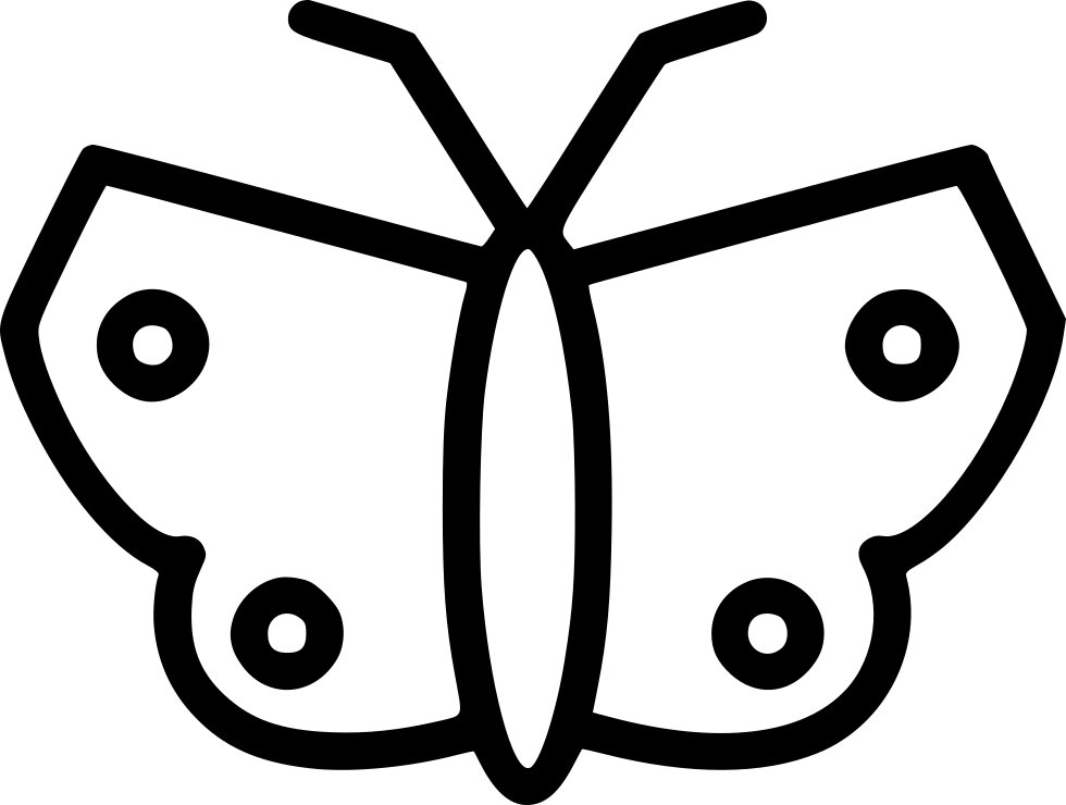 Butterfly Insect Avatar Spring Comments - Circle (980x740)