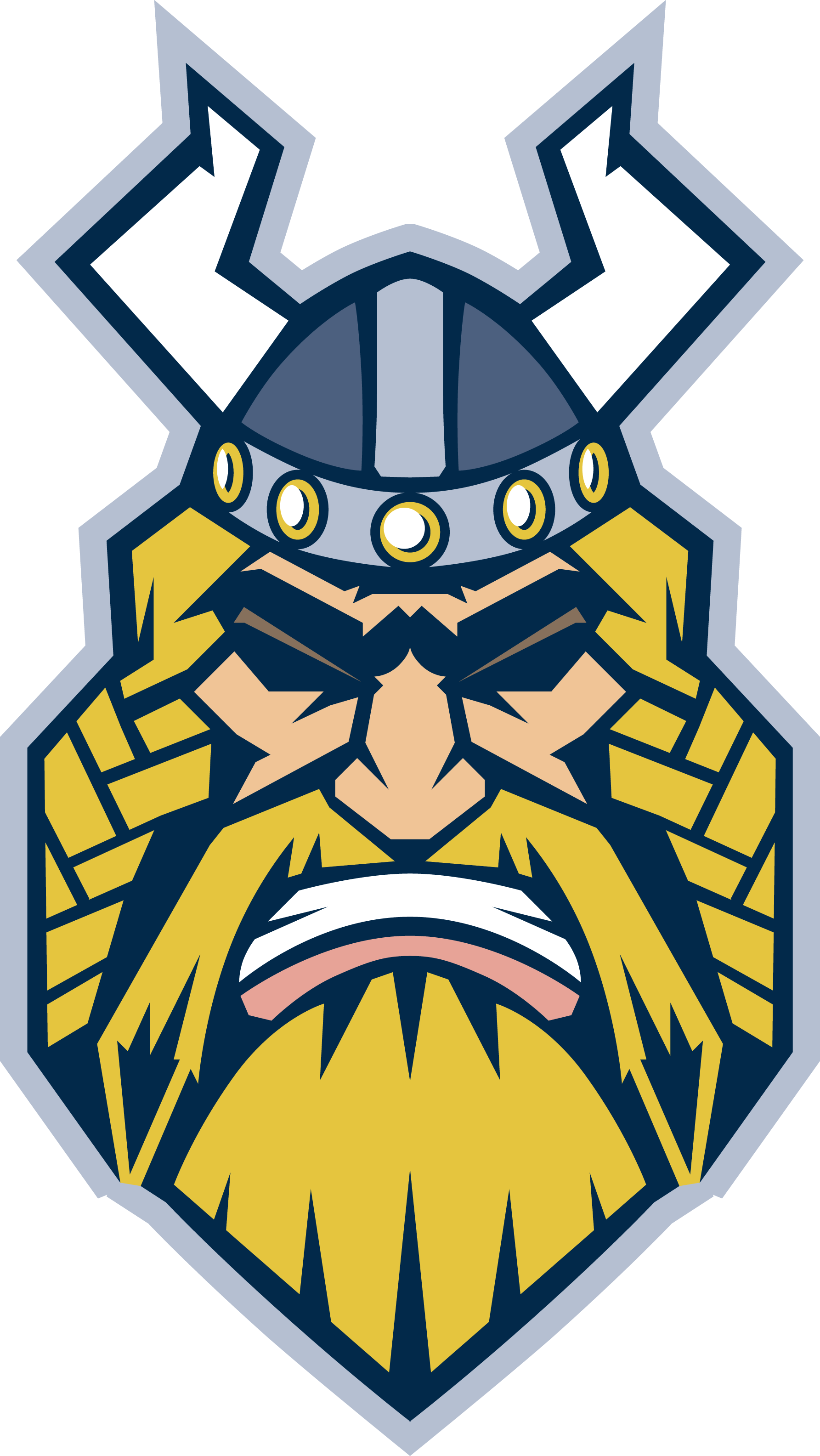 Viking Png - Illustration (1785x3169)